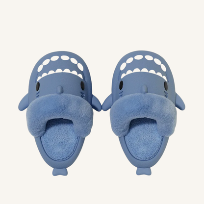 Chausson homme requin