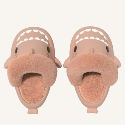 Chausson homme requin