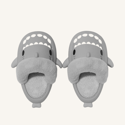 Chausson homme requin