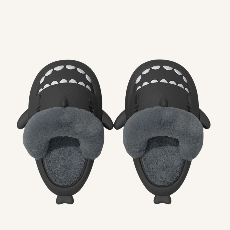 Chausson homme requin