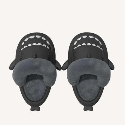 Chausson homme requin